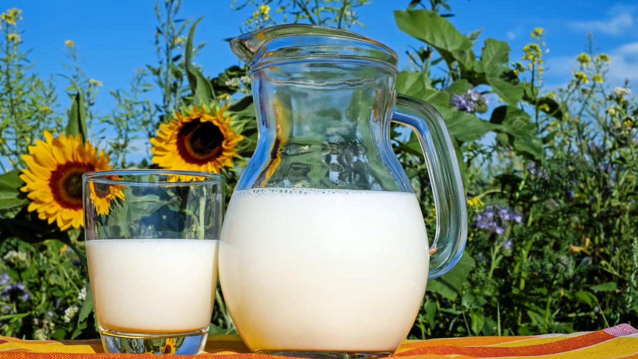 a pitcher of milk next to sunflowers