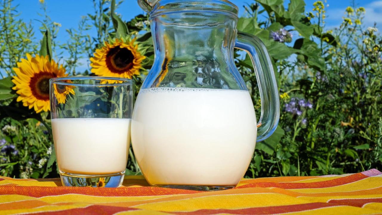 a pitcher of milk next to sunflowers