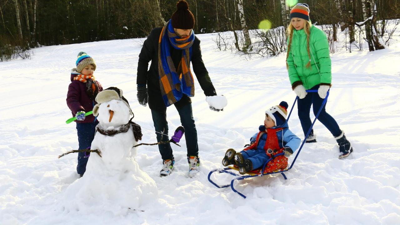 family playing in the snow