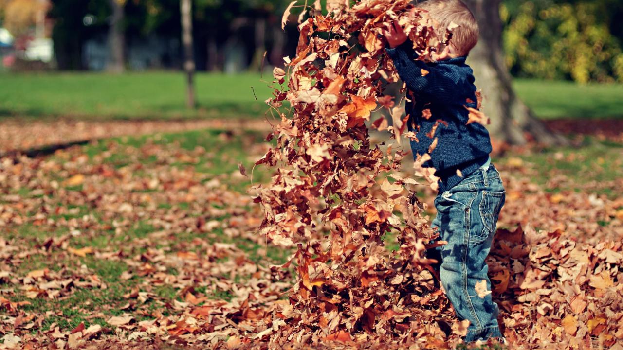 boy playing in the leaves