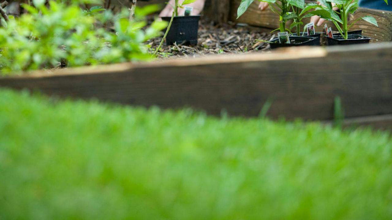 family gardening together