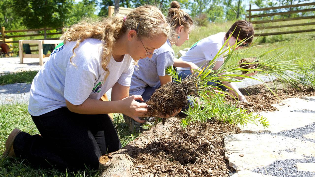 Students Gardening