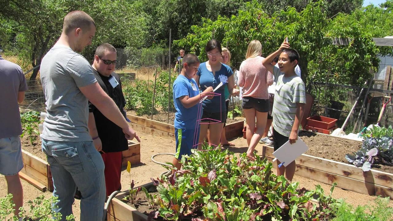 Team Davis Gardening