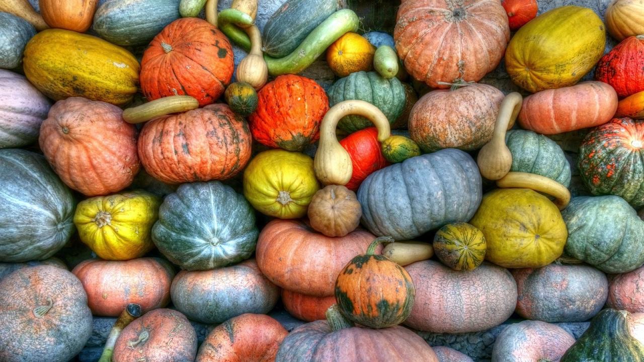 winter squash