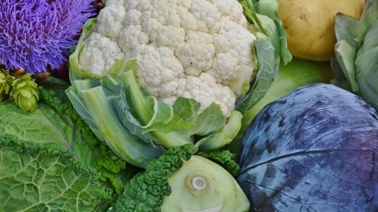 close up of vegetables 